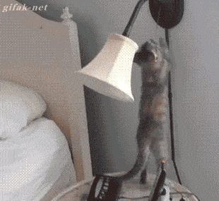 Acid GIFs, September 11 (25 gifs)