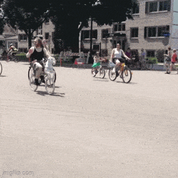 Acid GIFs, September 11 (25 gifs)