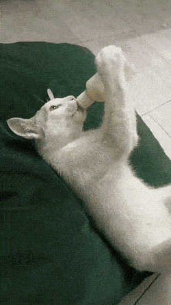 Acid GIFs, September 11 (25 gifs)