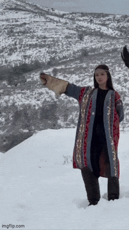 Acid GIFs, September 11 (25 gifs)