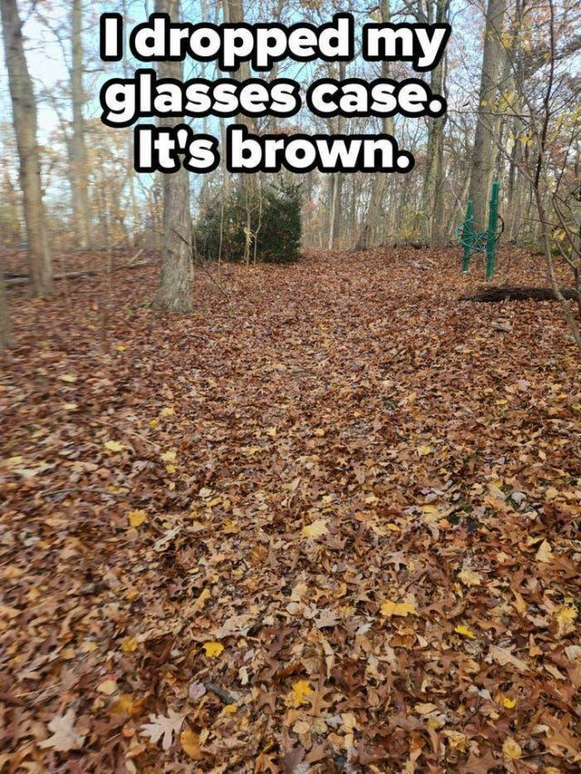 Unpleasant Failures (20 pics)