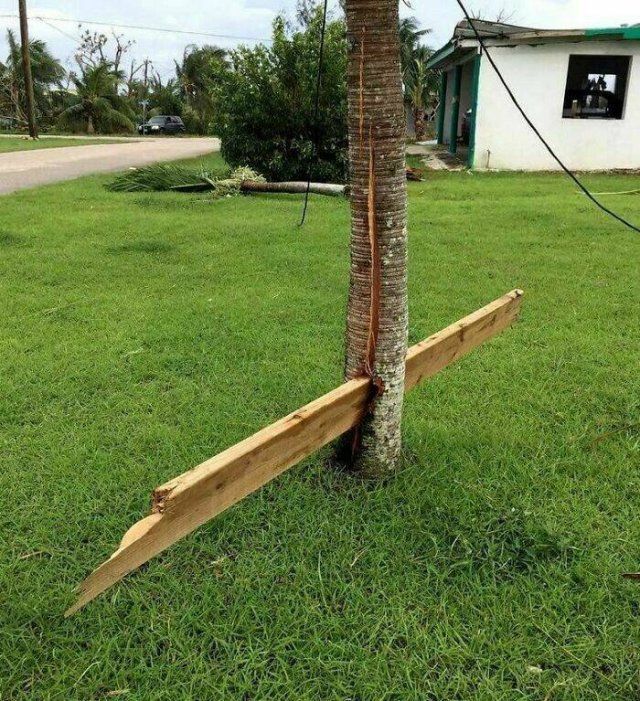 The Power Of Nature (25 pics)