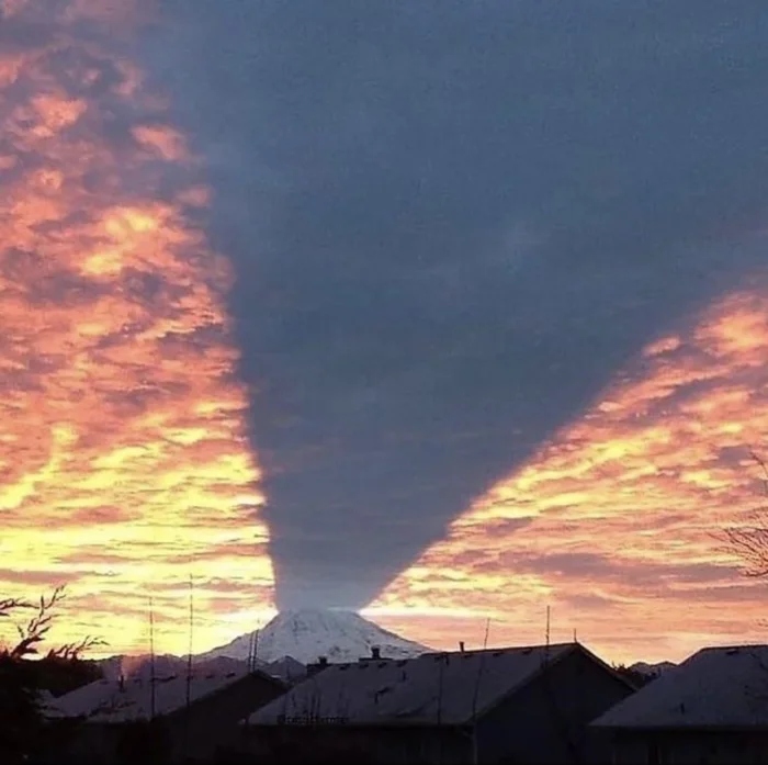 Unusual And Funny Shadows (23 pics)