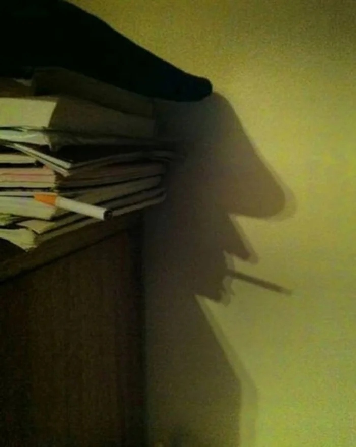 Unusual And Funny Shadows (23 pics)