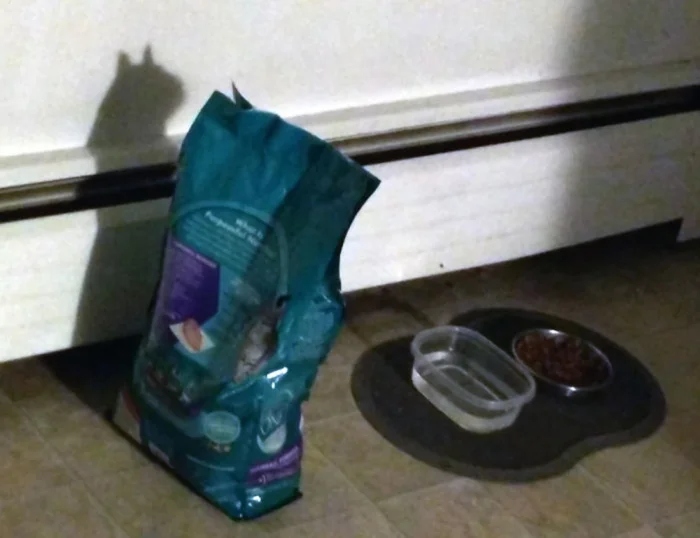 Unusual And Funny Shadows (23 pics)