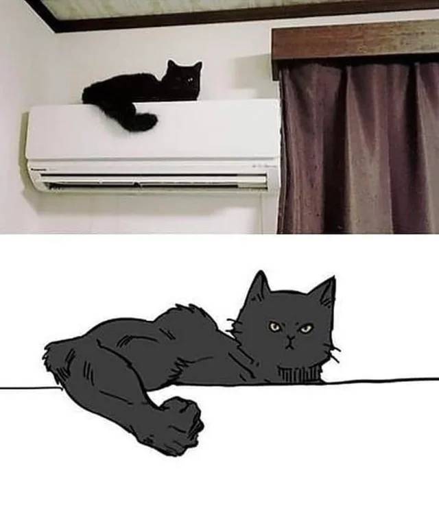 Daily Pictures. Part 2 (62 pics)