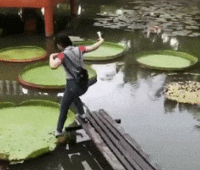 Acid GIFs, September 12 (25 gifs)