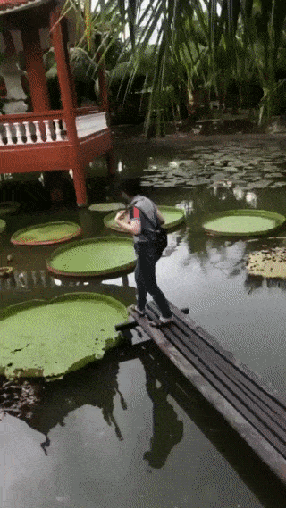 Acid GIFs, September 12 (25 gifs) Acid GIFs, September 12 (25 gifs)