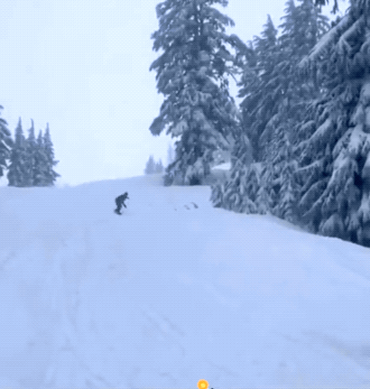 Acid GIFs, September 12 (25 gifs) Acid GIFs, September 12 (25 gifs)