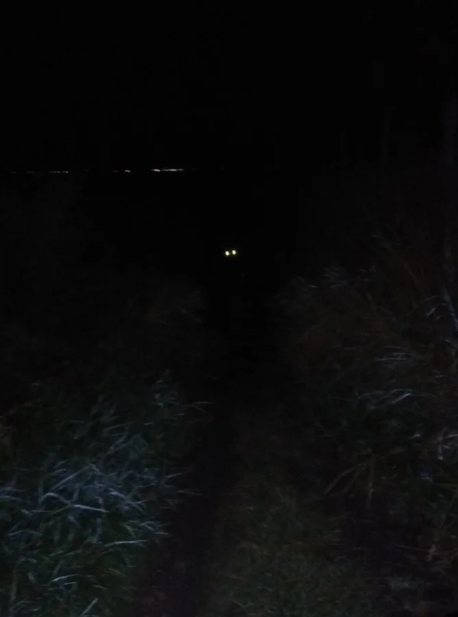Scary Photos And Finds (16 pics)