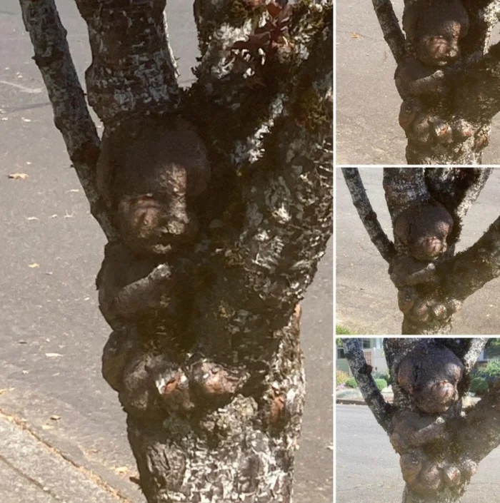 Scary Photos And Finds (16 pics)