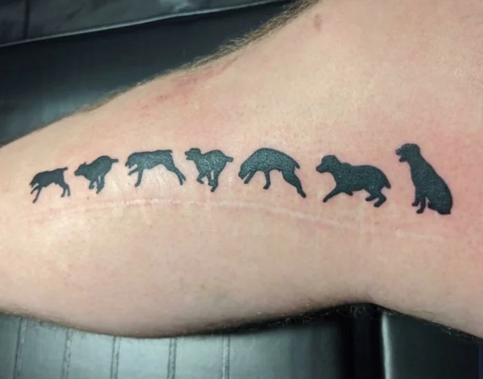 Cool Tattoo Cover Up (15 pics)