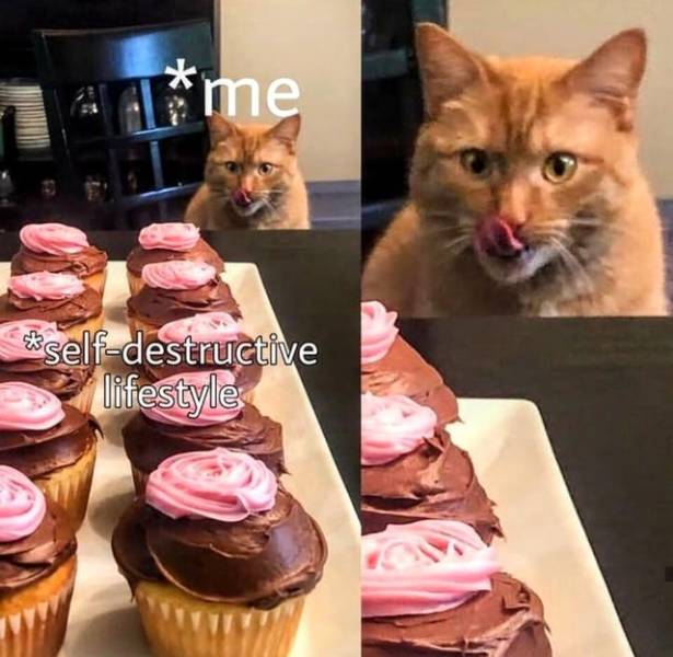 Daily Pictures. Part 2 (62 pics)