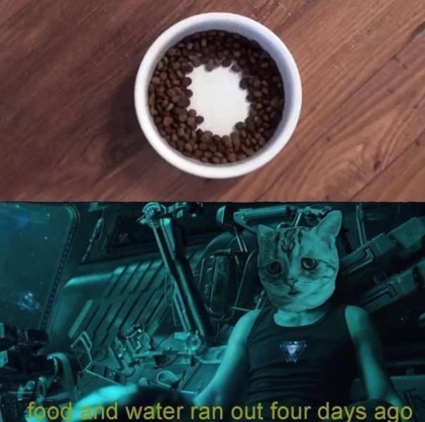 Daily Pictures. Part 2 (62 pics)