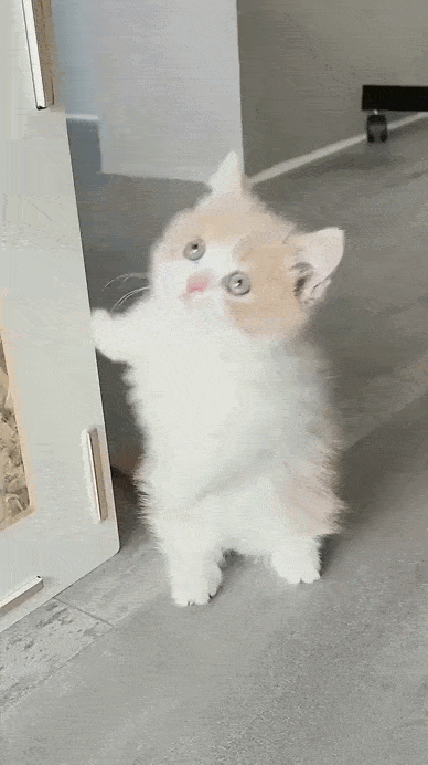 Acid GIFs, September 15 (25 gifs) Acid GIFs, September 15 (25 gifs)