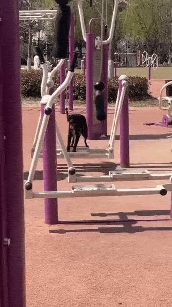 Acid GIFs, September 15 (25 gifs) Acid GIFs, September 15 (25 gifs)