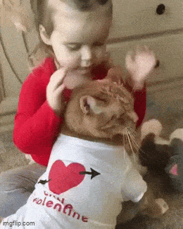 Acid GIFs, September 15 (25 gifs)