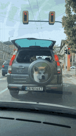 Acid GIFs, September 15 (25 gifs) Acid GIFs, September 15 (25 gifs)