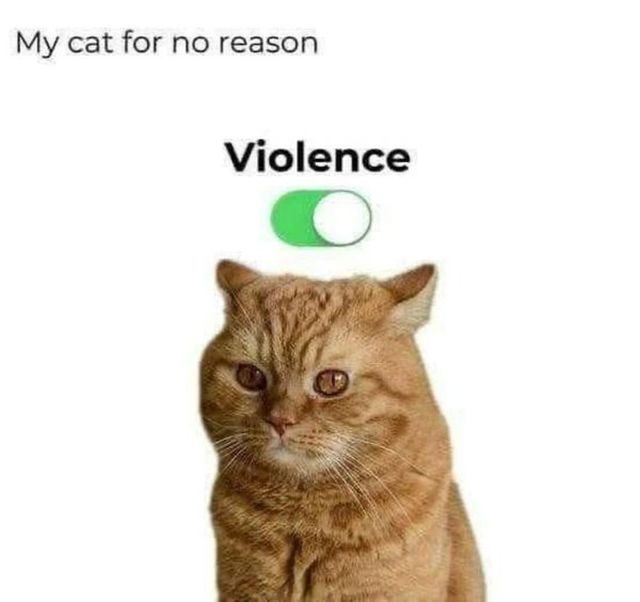 Funny Memes (24 pics)