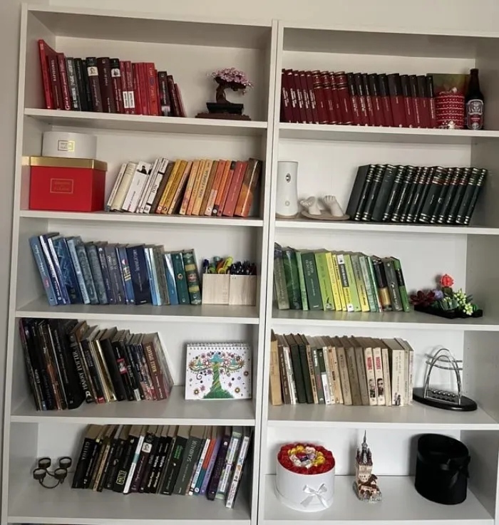 Perfect Space Organization (15 pics)