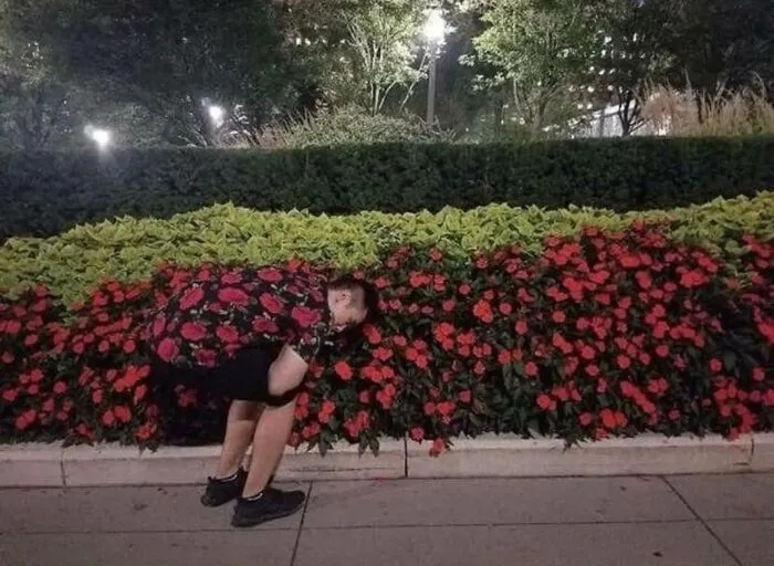 Unexpected Camouflage (17 pics)