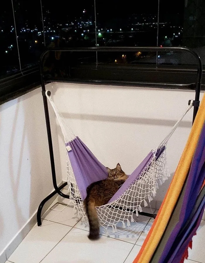 Unexpected Camouflage (17 pics)