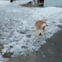 Acid GIFs, September 16 (25 gifs) Acid GIFs, September 16 (25 gifs)