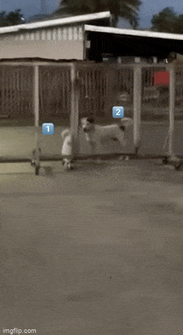Acid GIFs, September 16 (25 gifs) Acid GIFs, September 16 (25 gifs)