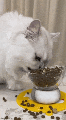 Acid GIFs, September 16 (25 gifs) Acid GIFs, September 16 (25 gifs)