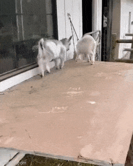 Acid GIFs, September 16 (25 gifs) Acid GIFs, September 16 (25 gifs)