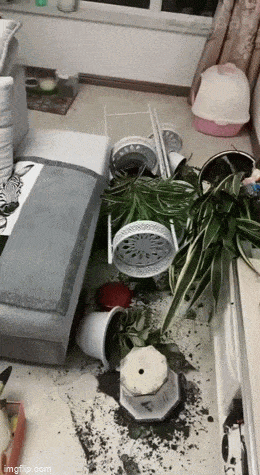 Acid GIFs, September 16 (25 gifs) Acid GIFs, September 16 (25 gifs)