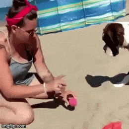 Acid GIFs, September 16 (25 gifs) Acid GIFs, September 16 (25 gifs)