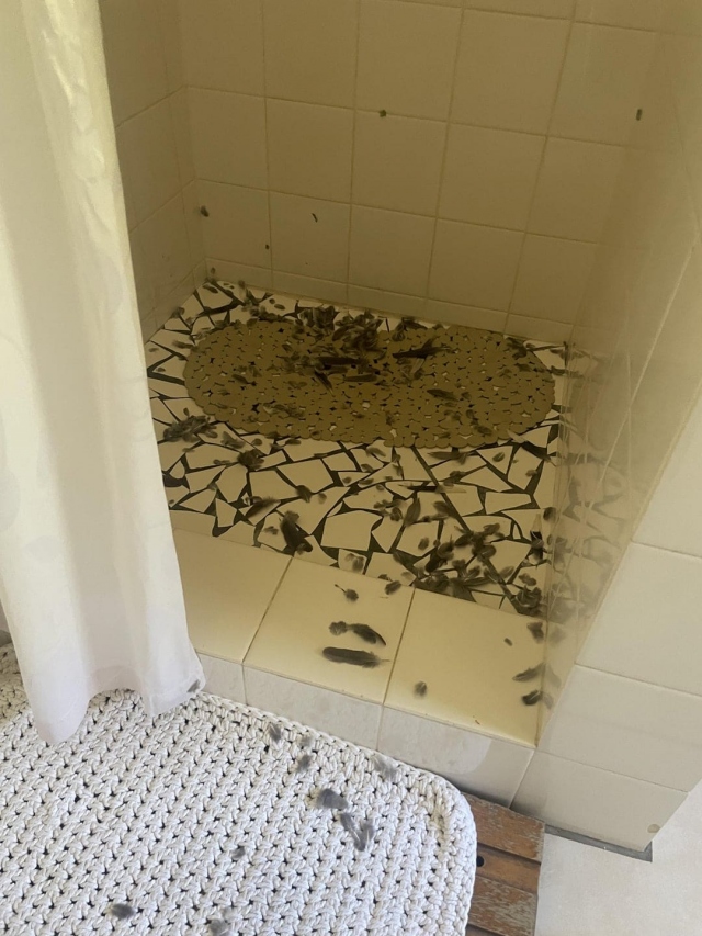 Bad Days Happen (14 pics)