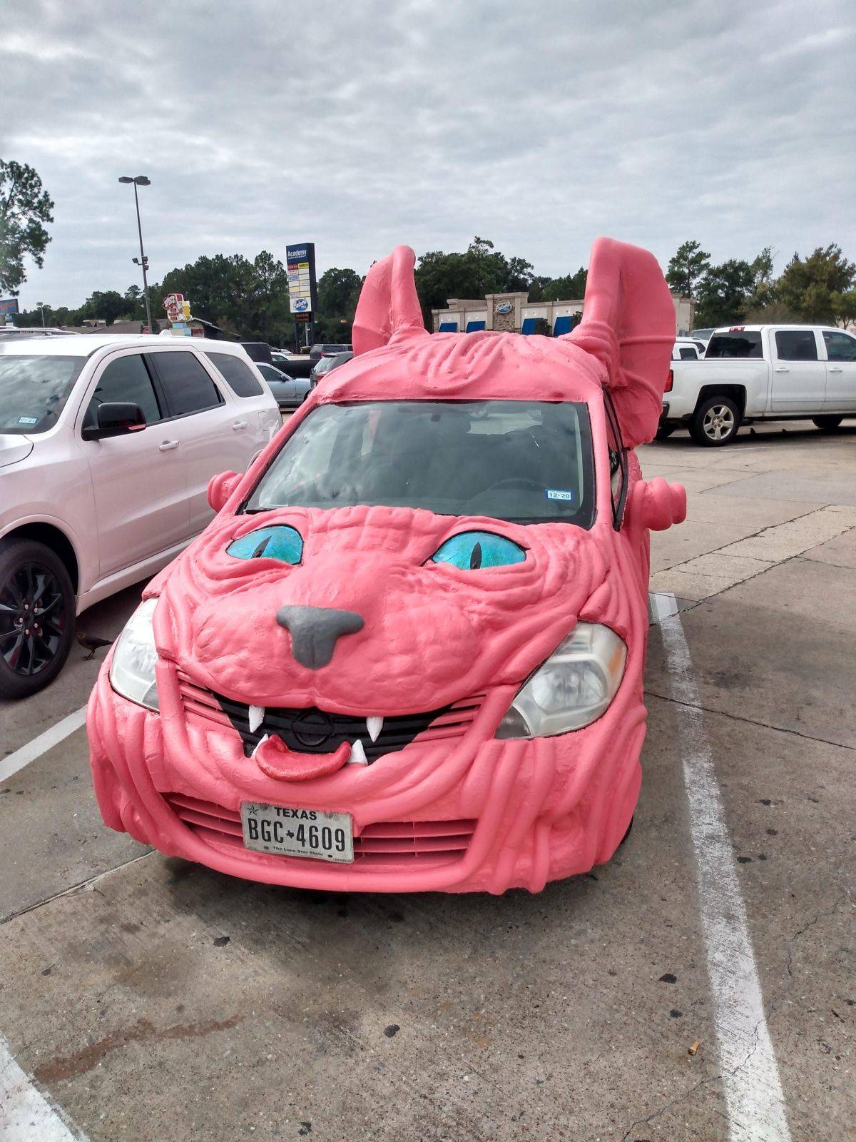 Daily Pictures. Part 1 (64 pics)