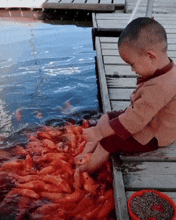 Acid GIFs, September 17 (25 gifs)