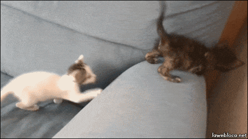 Acid GIFs, September 17 (25 gifs)