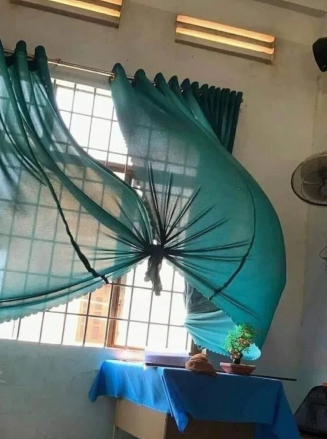 Funny Pareidolia (17 pics)