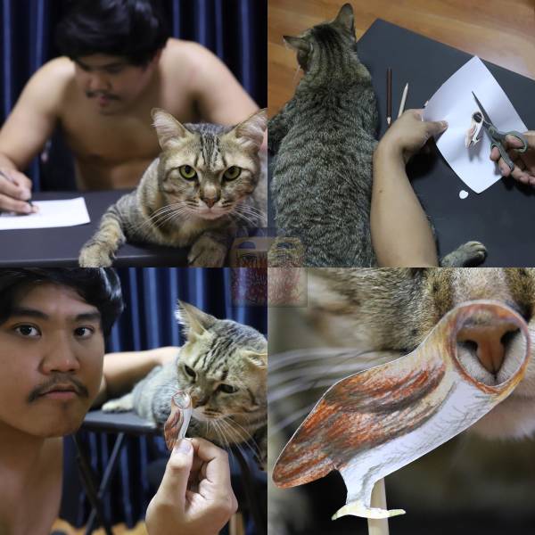 Daily Pictures. Part 2 (60 pics)