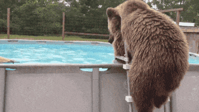 Acid GIFs, September 18 (25 gifs)