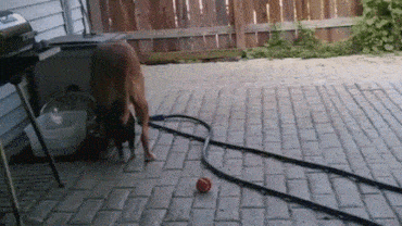 Acid GIFs, September 18 (25 gifs)