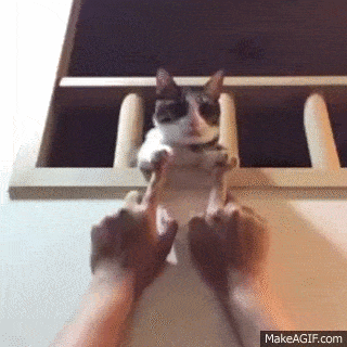 Acid GIFs, September 18 (25 gifs)