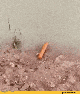 Acid GIFs, September 18 (25 gifs)