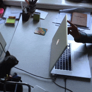 Acid GIFs, September 18 (25 gifs)