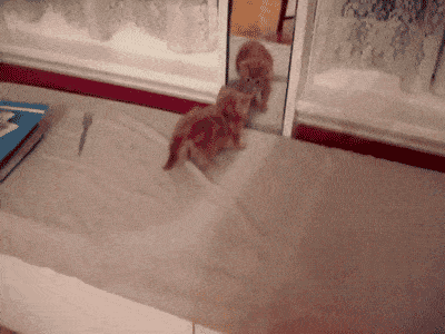 Acid GIFs, September 18 (25 gifs)