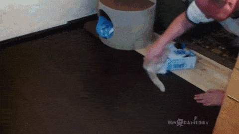Acid GIFs, September 18 (25 gifs)