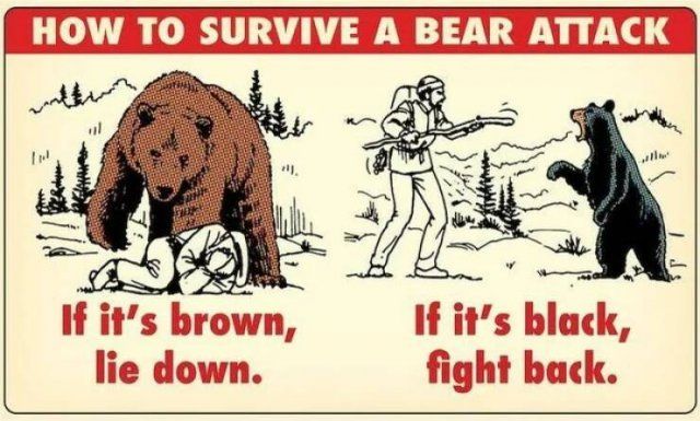 Useful Survival Tips (23 pics)