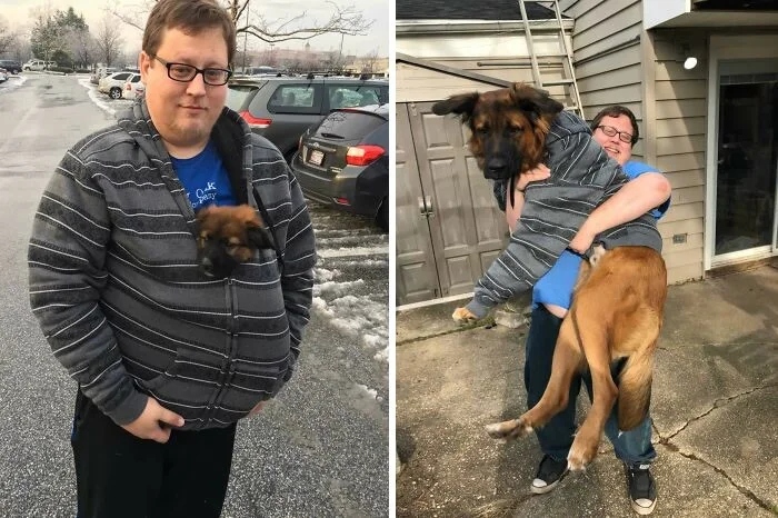 Giant Dogs (23 pics)