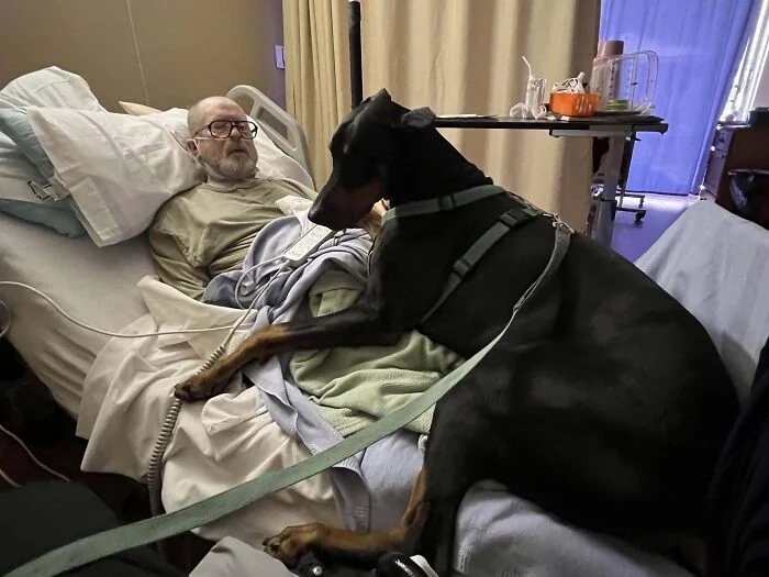 Giant Dogs (23 pics)