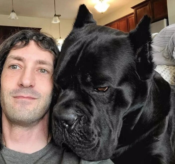 Giant Dogs (23 pics)