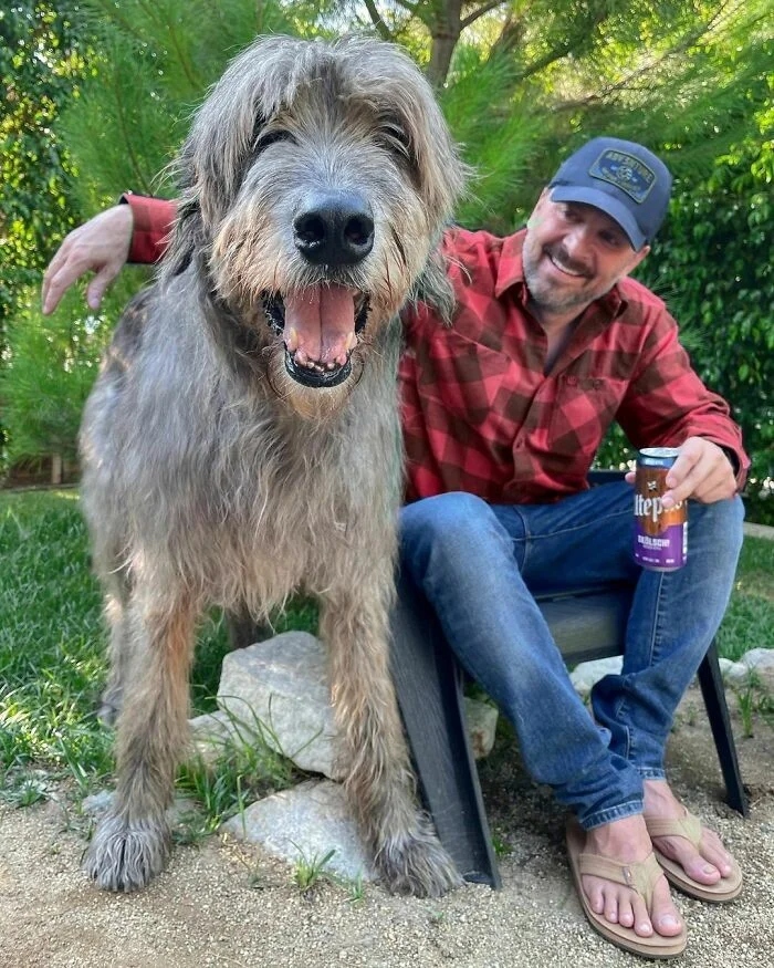 Giant Dogs (23 pics)